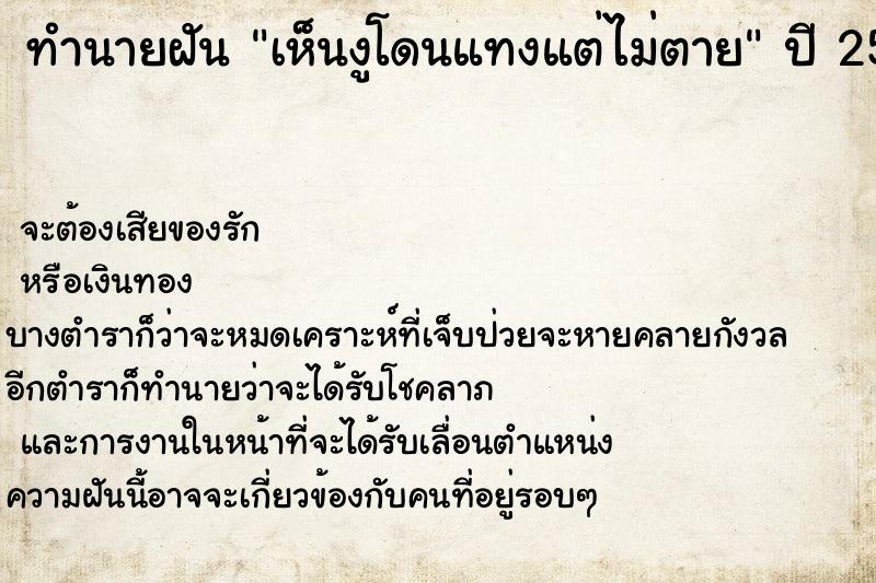 ทำนายฝัน เห็นงูโดนแทงแต่ไม่ตาย