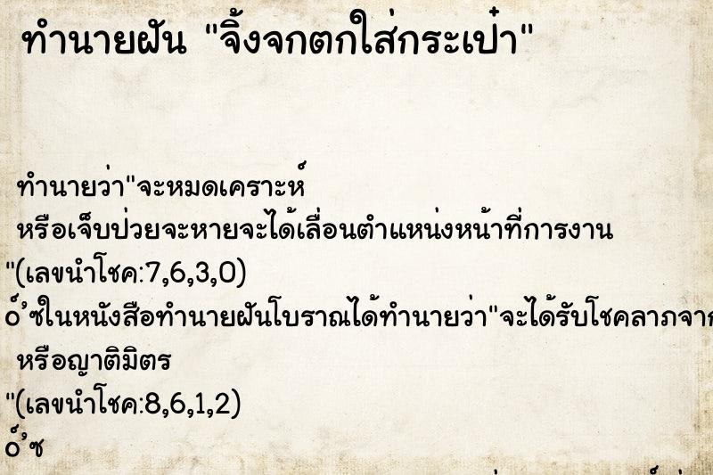 ทำนายฝัน จิ้งจกตกใส่กระเป๋า ทำนายฝัน จิ้งจกตกใส่กระเป๋า