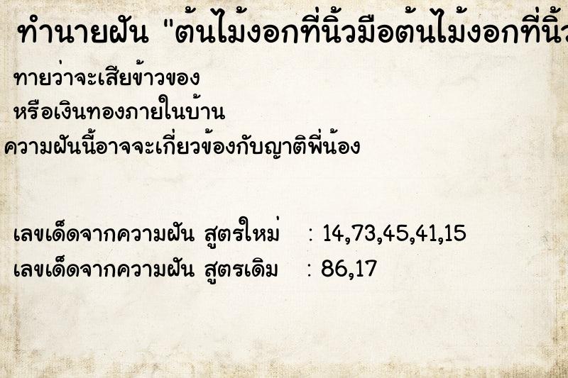 ทำนายฝัน ต้นไม้งอกที่นิ้วมือต้นไม้งอกที่นิ้วมือ ทำนายฝัน ต้นไม้งอกที่นิ้วมือต้นไม้งอกที่นิ้วมือ