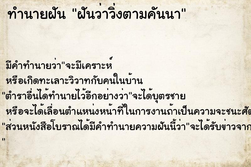 ทำนายฝันฝันว่าวิ่งตามคันนา ทำนายฝันทำนายฝันฝันว่าวิ่งตามคันนา