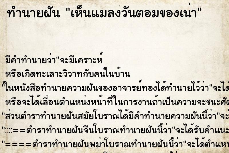 ทำนายฝัน เห็นแมลงวันตอมของเน่า ทำนายฝัน เห็นแมลงวันตอมของเน่า