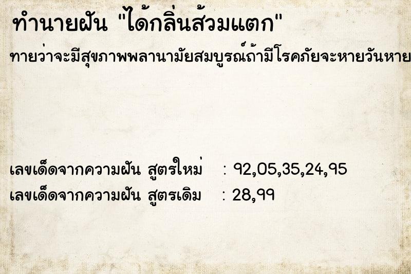 ทำนายฝันได้กลิ่นส้วมแตก ทำนายฝันทำนายฝันได้กลิ่นส้วมแตก