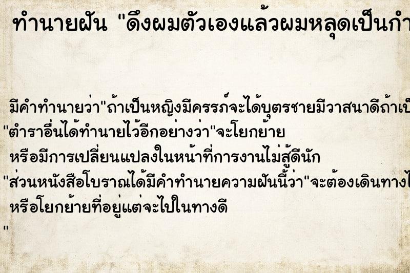 ทำนายฝัน ดึงผมตัวเองแล้วผมหลุดเป็นกำ ทำนายฝัน ดึงผมตัวเองแล้วผมหลุดเป็นกำ