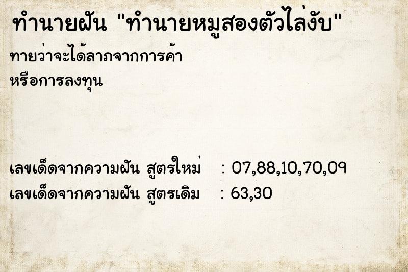 ทำนายฝันทำนายหมูสองตัวไล่งับ ทำนายฝันทำนายฝันทำนายหมูสองตัวไล่งับ