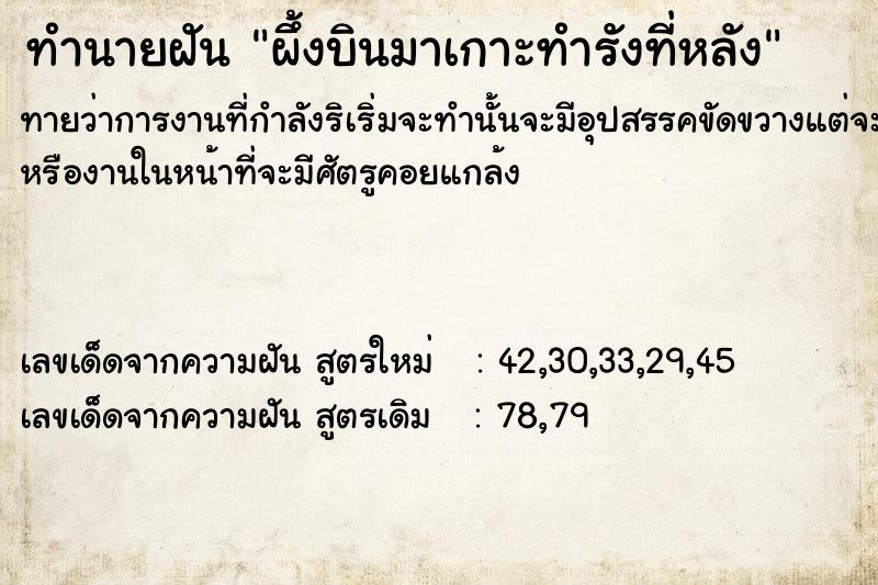 ทำนายฝันผึ้งบินมาเกาะทำรังที่หลัง ทำนายฝันทำนายฝันผึ้งบินมาเกาะทำรังที่หลัง