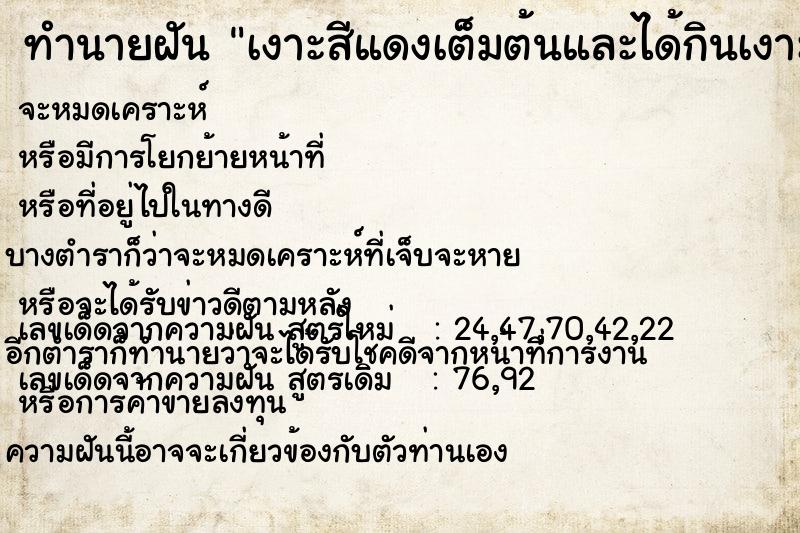 ทำนายฝันเงาะสีแดงเต็มต้นและได้กินเงาะด้วย ทำนายฝันทำนายฝันเงาะสีแดงเต็มต้นและได้กินเงาะด้วย