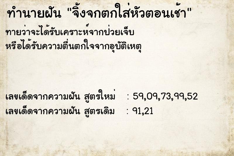 ทำนายฝันจิ้งจกตกใส่่หัวตอนเช้า ทำนายฝันทำนายฝันจิ้งจกตกใส่่หัวตอนเช้า