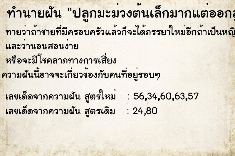 ทำนายฝันปลูกมะม่วงต้นเล็กมากแต่ออกลูกเต็มต้น ทำนายฝันทำนายฝันปลูกมะม่วงต้นเล็กมากแต่ออกลูกเต็มต้น