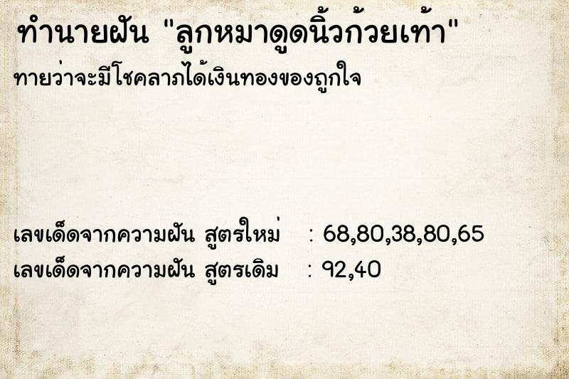 ทำนายฝันลูกหมาดูดนิ้วก้วยเท้า ทำนายฝันทำนายฝันลูกหมาดูดนิ้วก้วยเท้า
