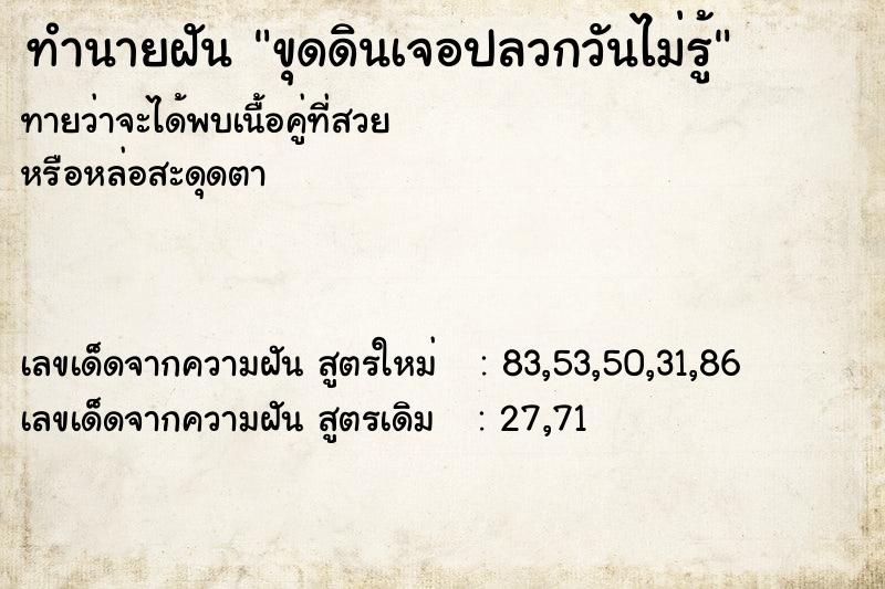 ทำนายฝันทำนายฝันขุดดินเจอปลวกวันไม่รู้