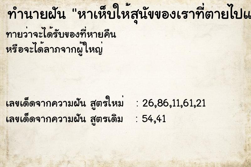 ทำนายฝันทำนายฝันหาเห็บให้สุนัขของเราที่ตายไปแล้ว