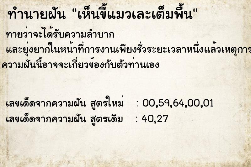 ทำนายฝันเห็นขี้แมวเละเต็มพื้น ทำนายฝันทำนายฝันเห็นขี้แมวเละเต็มพื้น