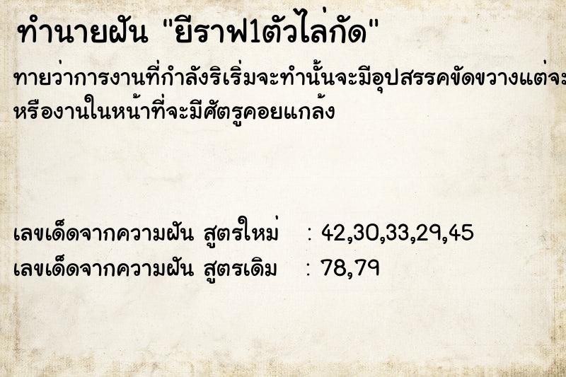 ทำนายฝันทำนายฝัน​ยีราฟ1ตัวไล่กัด