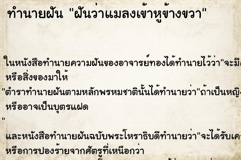 ทำนายฝัน ฝันว่าแมลงเข้าหูข้างขวา ตำราโบราณ แม่นที่สุดในโลก