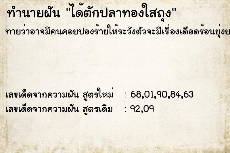 ทำนายฝันทำนายฝันได้ตักปลาทองใสถุง