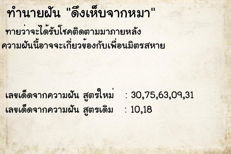 ทำนายฝันดึงเห็บจากหมา ทำนายฝันทำนายฝันดึงเห็บจากหมา