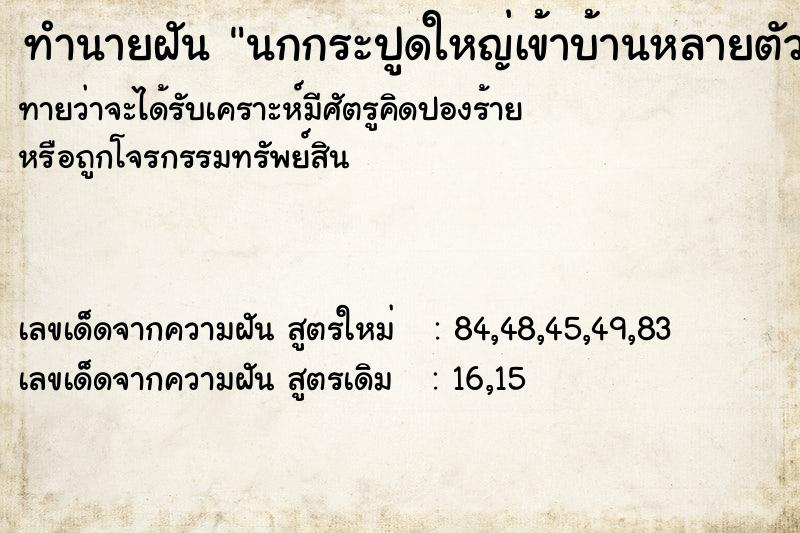 ทำนายฝันทำนายฝันนกกระปูดใหญ่เข้าบ้านหลายตัว