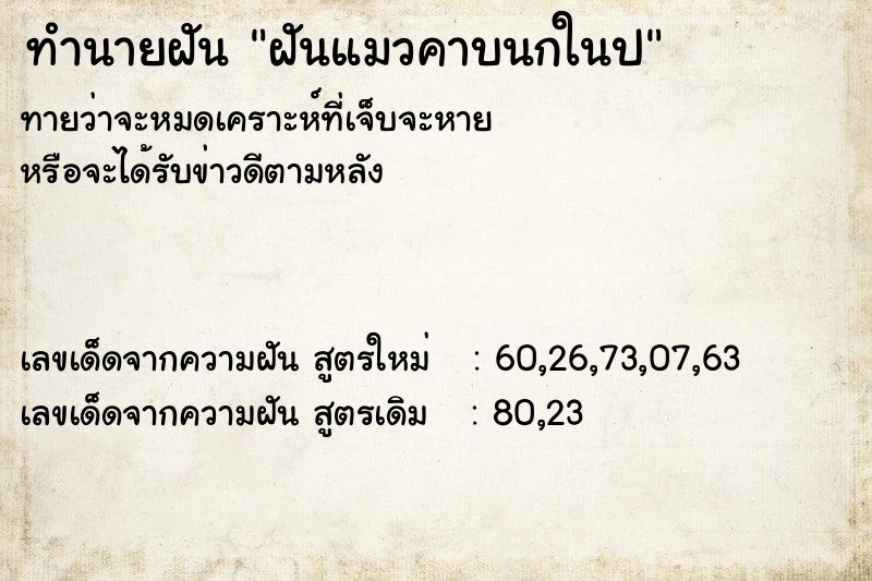 ทำนายฝันทำนายฝันฝันแมวคาบนกในป