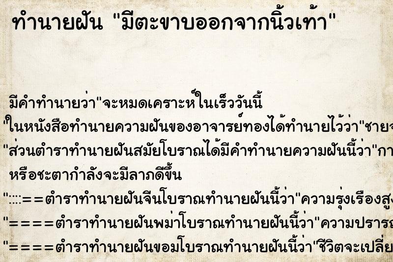 ทำนายฝัน มีตะขาบออกจากนิ้วเท้า ทำนายฝัน มีตะขาบออกจากนิ้วเท้า