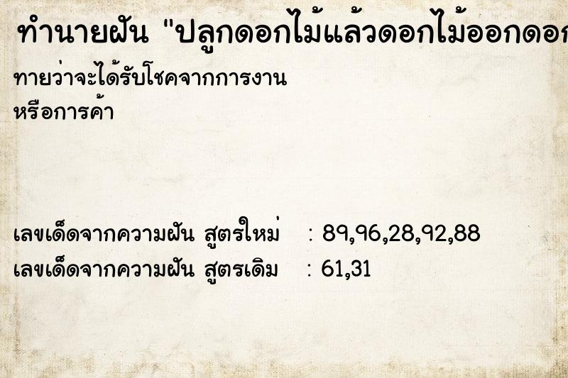 ทำนายฝันปลูกดอกไม้แล้วดอกไม้ออกดอกสวยมาก ทำนายฝันทำนายฝันปลูกดอกไม้แล้วดอกไม้ออกดอกสวยมาก