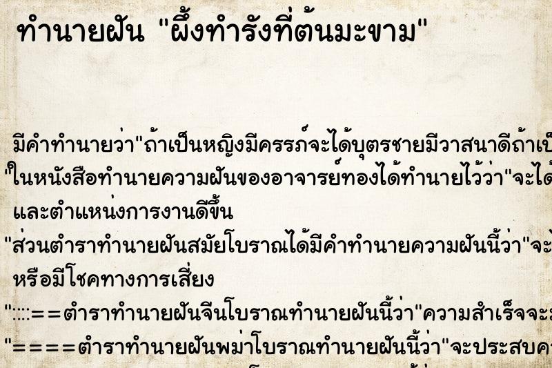 ทำนายฝัน ผึ้งทำรังที่ต้นมะขาม ทำนายฝัน ผึ้งทำรังที่ต้นมะขาม
