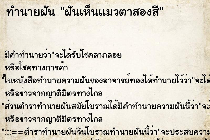 ทำนายฝัน ฝันเห็นแมวตาสองสี ทำนายฝัน ฝันเห็นแมวตาสองสี