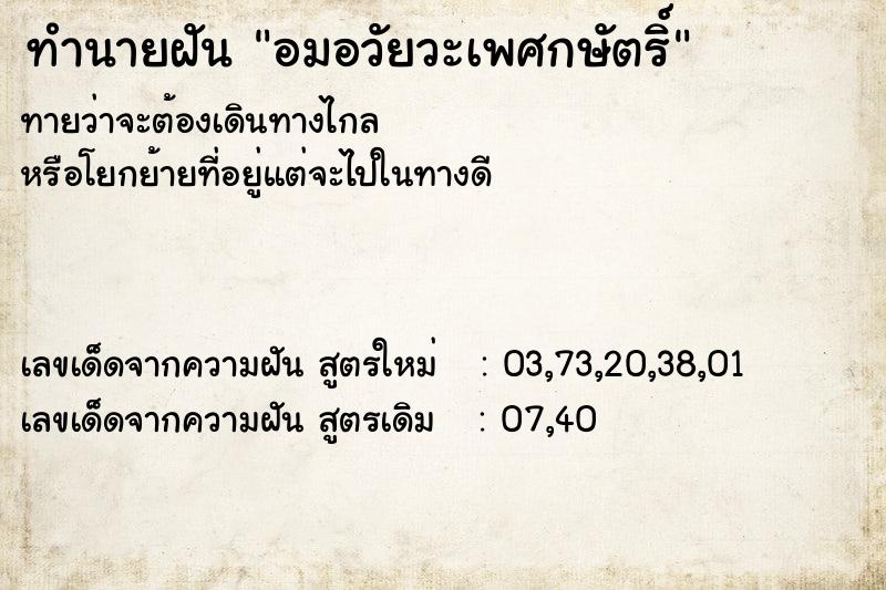 ทำนายฝันอมอวัยวะเพศกษัตริ์ ทำนายฝันทำนายฝันอมอวัยวะเพศกษัตริ์