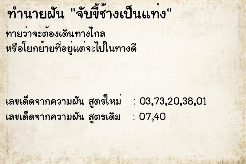 ทำนายฝันจับขี้ช้างเป็นแท่ง ทำนายฝันทำนายฝันจับขี้ช้างเป็นแท่ง