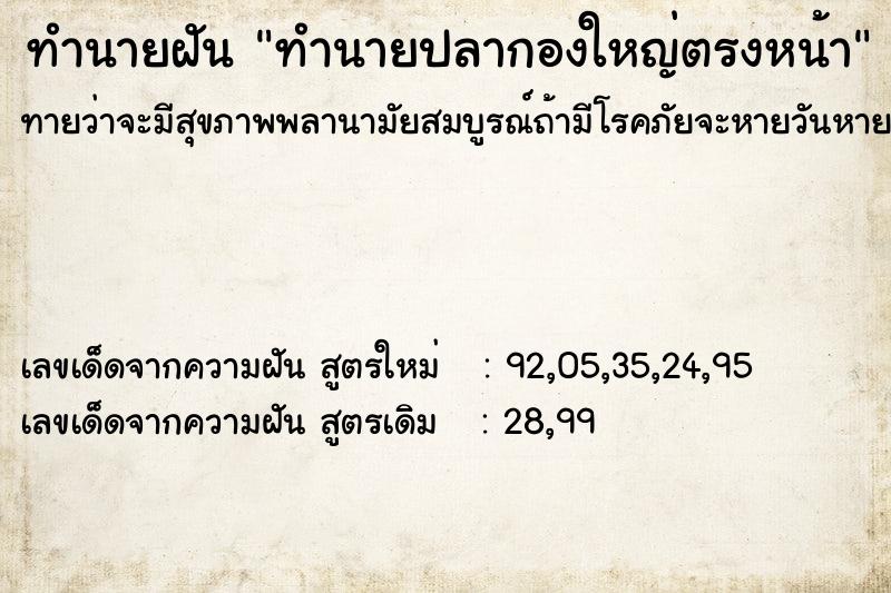 ทำนายฝันทำนายปลากองใหญ่ตรงหน้า ทำนายฝันทำนายฝันทำนายปลากองใหญ่ตรงหน้า