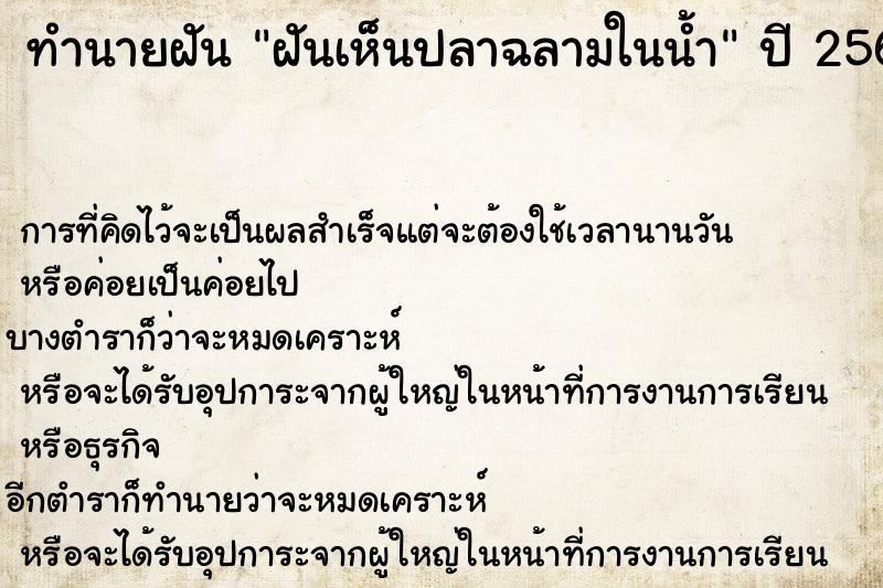 ทำนายฝันทำนายฝันฝันเห็นปลาฉลามในน้ำ