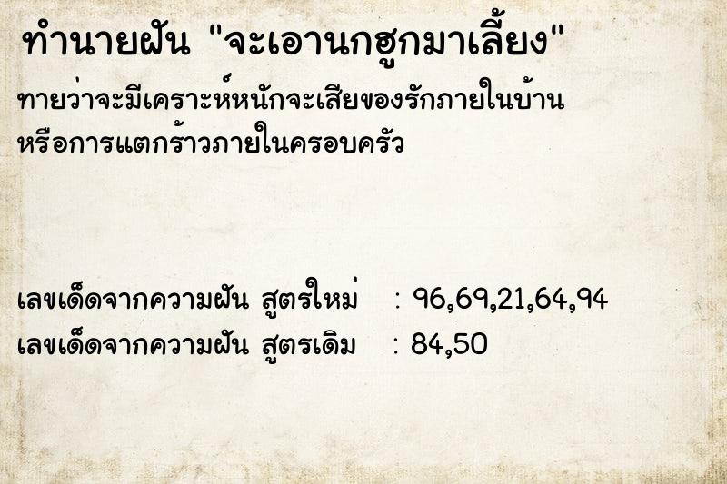 ทำนายฝันทำนายฝันจะเอานกฮูกมาเลี้ยง
