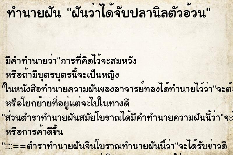 ทำนายฝันฝันว่าได้จับปลานิลตัวอ้วน ทำนายฝันทำนายฝันฝันว่าได้จับปลานิลตัวอ้วน