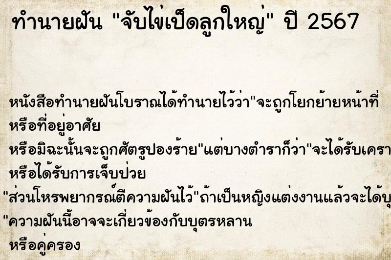 ทำนายฝันจับไข่เป็ดลูกใหญ่ ทำนายฝันทำนายฝันจับไข่เป็ดลูกใหญ่
