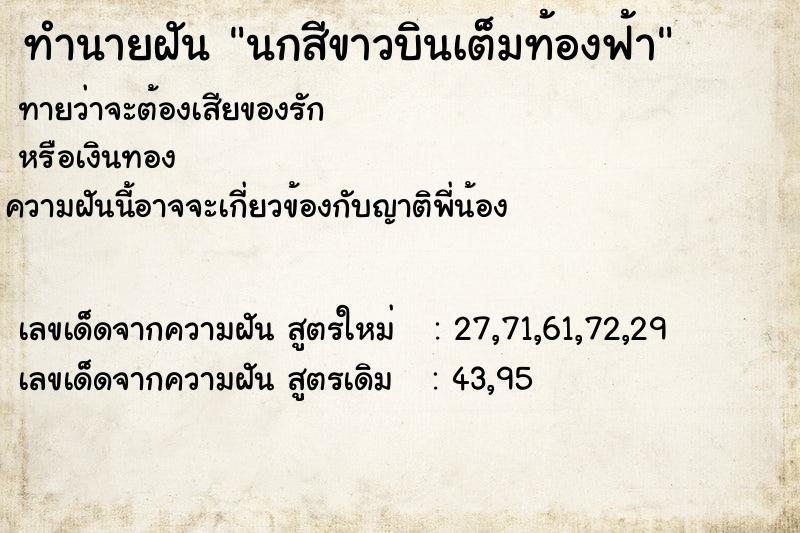 ทำนายฝันนกสีขาวบินเต็มท้องฟ้า ทำนายฝันทำนายฝันนกสีขาวบินเต็มท้องฟ้า