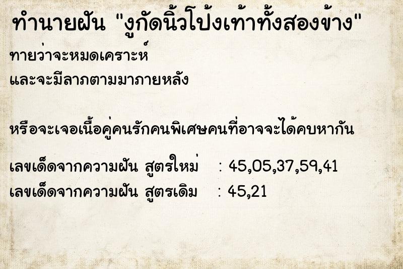 ทำนายฝันงูกัดนิ้วโป้งเท้าทั้งสองข้าง ทำนายฝันทำนายฝันงูกัดนิ้วโป้งเท้าทั้งสองข้าง