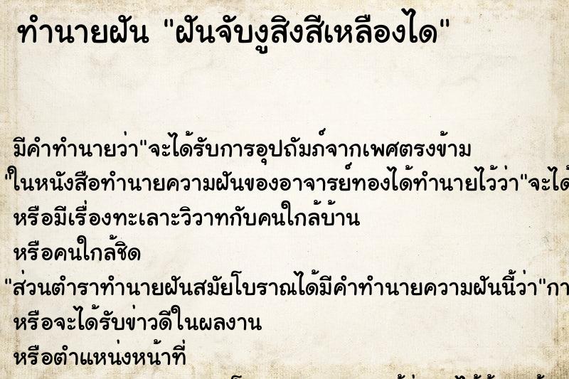 ทำนายฝันฝันจับงูสิงสีเหลืองได ทำนายฝันทำนายฝันฝันจับงูสิงสีเหลืองได