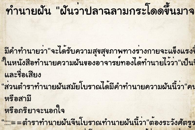 ทำนายฝัน ฝันว่าปลาฉลามกระโดดขึ้นมาจะกัด ทำนายฝัน ฝันว่าปลาฉลามกระโดดขึ้นมาจะกัด