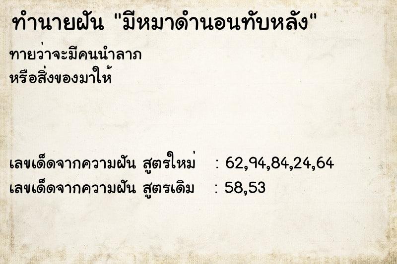 ทำนายฝันมีหมาดำนอนทับหลัง ทำนายฝันทำนายฝันมีหมาดำนอนทับหลัง