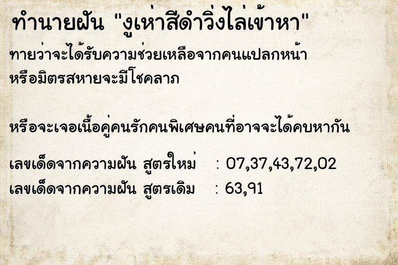 ทำนายฝันงูเห่าสีดำวิ่งไล่เข้าหา ทำนายฝันทำนายฝันงูเห่าสีดำวิ่งไล่เข้าหา