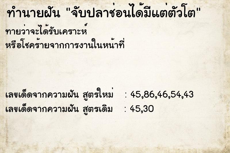 ทำนายฝันจับปลาช่อนได้มีแต่ตัวโต ทำนายฝันทำนายฝันจับปลาช่อนได้มีแต่ตัวโต
