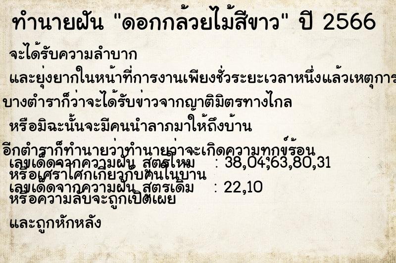 ทำนายฝัน ดอกกล้วยไม้สีขาว แม่นๆ ฟรี ด้วยตำราหนังสือทำนายฝันโบราณ ทำนายฝันดอกกล้วยไม้สีขาว