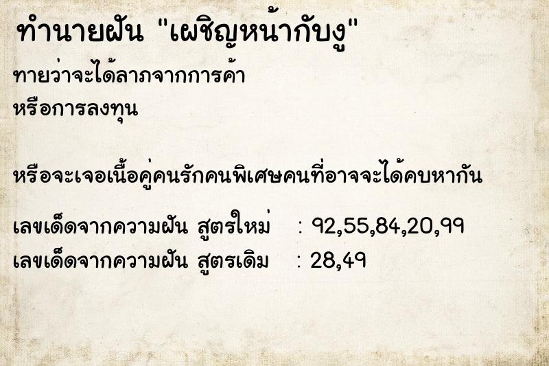 ทำนายฝันเผชิญหน้ากับงู ทำนายฝันทำนายฝันเผชิญหน้ากับงู