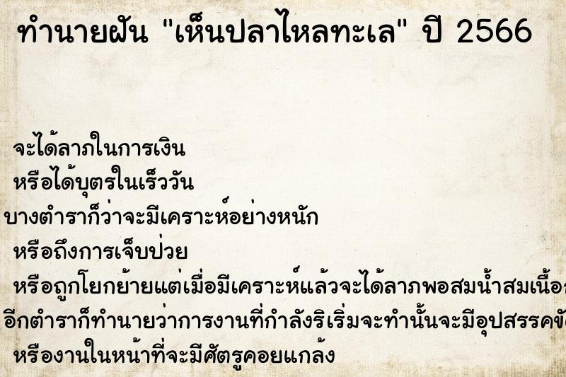 ทำนายฝันเห็นปลาไหลทะเล ทำนายฝันทำนายฝันเห็นปลาไหลทะเล