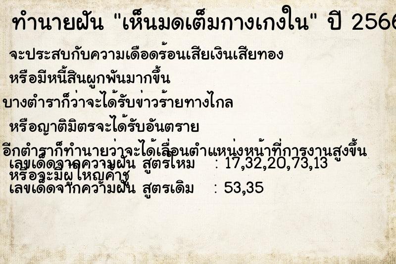 ทำนายฝันทำนายฝันเห็นมดเต็มกางเกงใน