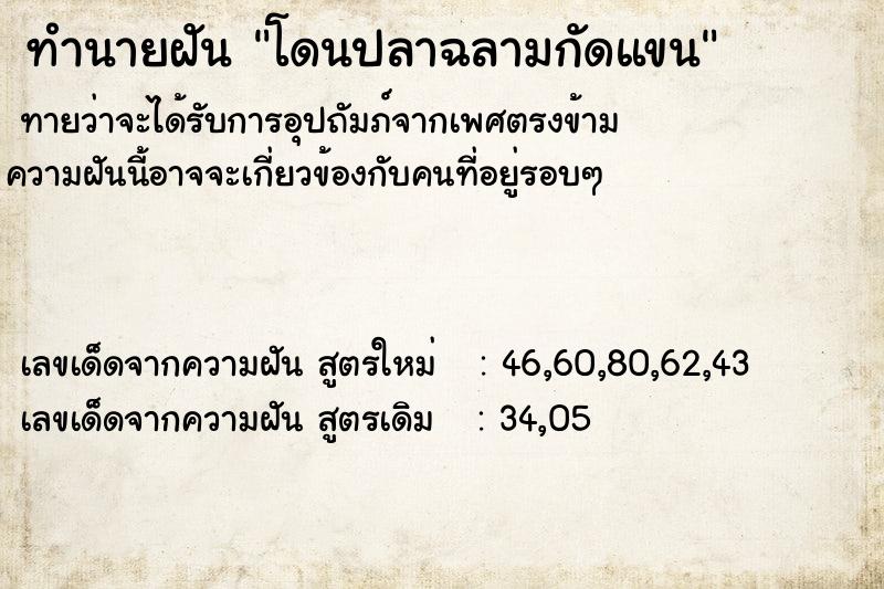 ทำนายฝันโดนปลาฉลามกัดแขน ทำนายฝันทำนายฝันโดนปลาฉลามกัดแขน