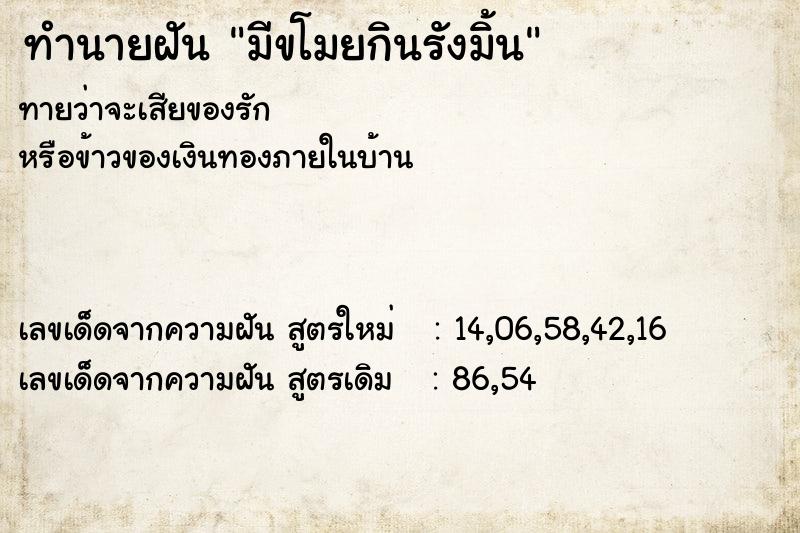 ทำนายฝันทำนายฝันมีขโมยกินรังมิ้น