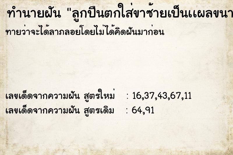 ทำนายฝันทำนายฝันลูกปืนตกใส่ขาซ้ายเป็นเเผลขนาดใหญ่