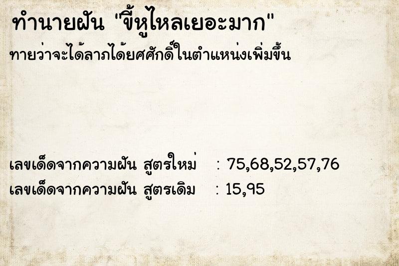 ทำนายฝัน ขี้หูไหลเยอะมาก ทำนายฝัน ขี้หูไหลเยอะมาก