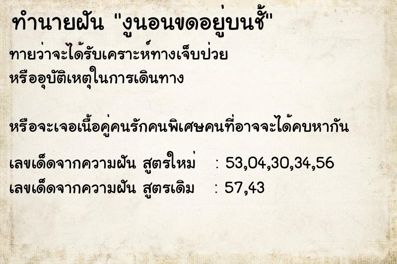 ทำนายฝันงูนอนขดอยู่บนชั้ ทำนายฝันทำนายฝันงูนอนขดอยู่บนชั้