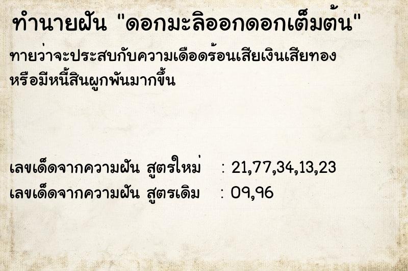 ทำนายฝันดอกมะลิออกดอกเต็มต้น ทำนายฝันทำนายฝันดอกมะลิออกดอกเต็มต้น